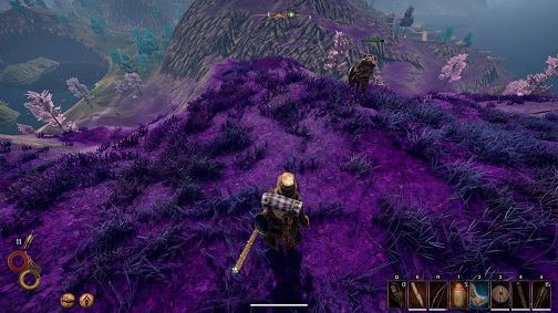 purple fields